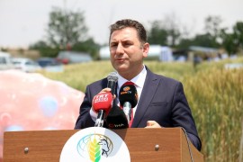 Konya’da Tarla Günü etkinliğinde buğday çeşitleri tanıtıldı