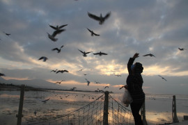 Beyşehir Gölü kuş cennetine döndü