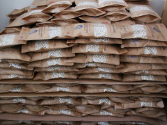 Konya’nın coğrafi işaret belgeli Çetmi Şeker Fasulyesi, Almanya’ya ihraç edildi