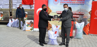 Kulu’da çiftçilere 107 ton sertifikalı mercimek tohumu dağıtıldı